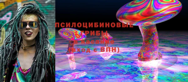 спайс Баксан