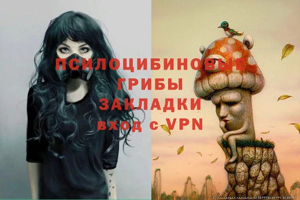 прущие крисы Балахна
