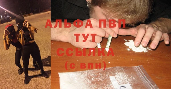 спайс Баксан