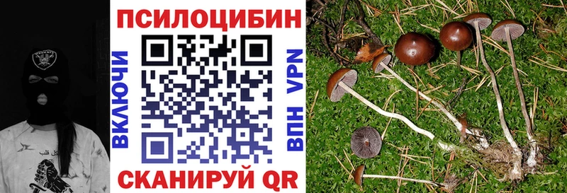 darknet как зайти  Ленск  Галлюциногенные грибы прущие грибы 